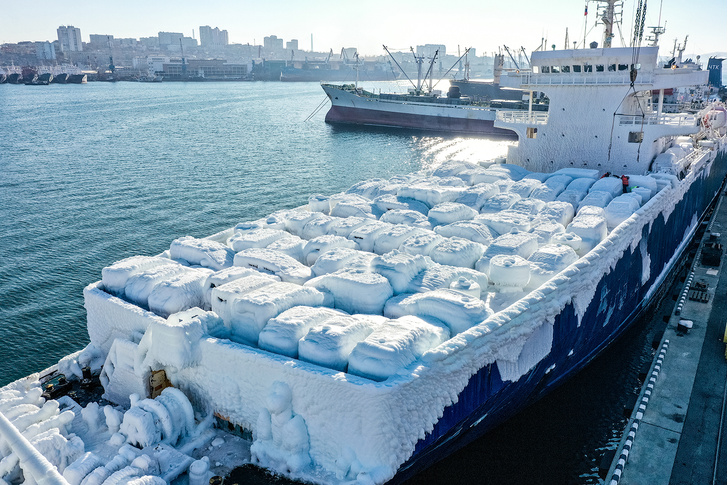 Фото №1 - Замерзшие иномарки в приморском порту (фото+видео)