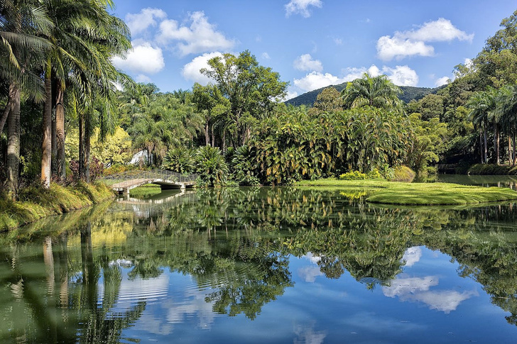 #Лучшедома: 10 виртуальных туров по ботаническим садам (фото 19)