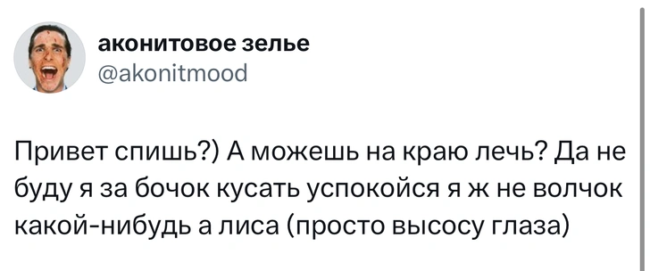 Источник: X (Twitter)