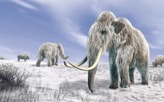 Дремали под шерстью мамонтов: в России нашли 13 древних вирусов, от которых нет лекарства