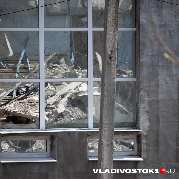 Источник: Елена Буйвол / VLADIVOSTOK1.RU