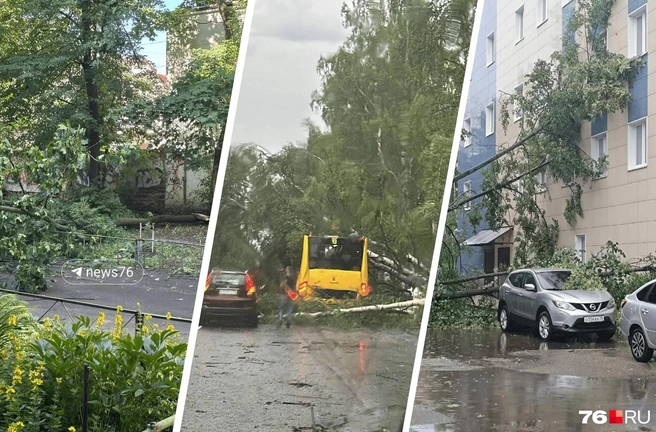 Показываем последствия непогоды в Ярославле и области  | Источник: читатели 76.RU