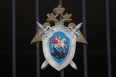 Бастрыкин потребовал отчёт по делу о гибели новорождённого