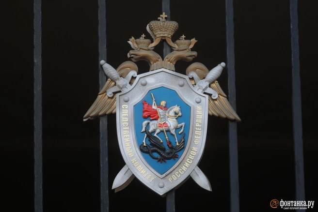 Ранее уголовное дело возбудили повторно | Источник: Сергей Коньков / FONTANKA.RU