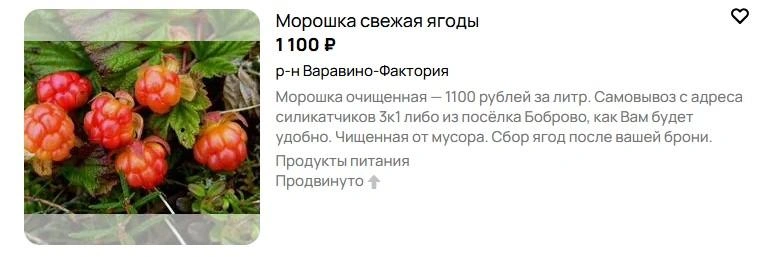 Источник: Avito.ru