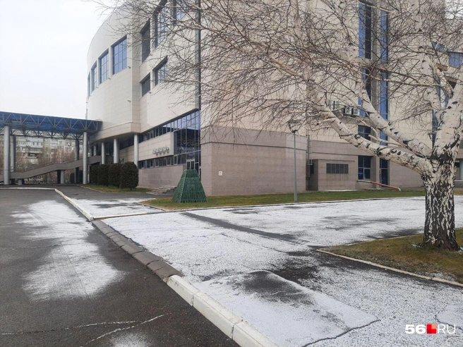 Источник: Анастасия Баринова / 56.RU