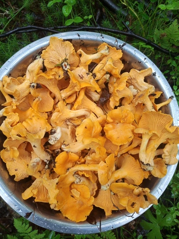 Источник: Ирина Алпеева