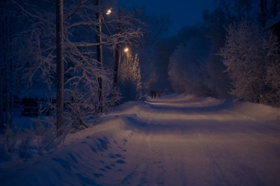 Арктическое похолодание вернётся в Архангельскую область