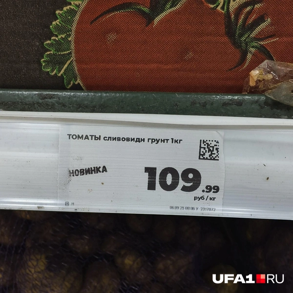 Источник: Булат Салихов / UFA1.RU