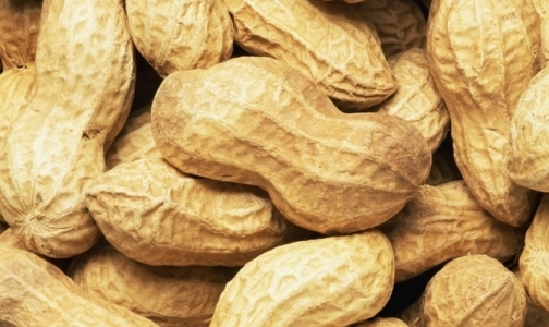 В Петербург может попасть арахис с повышенным содержанием кадмия