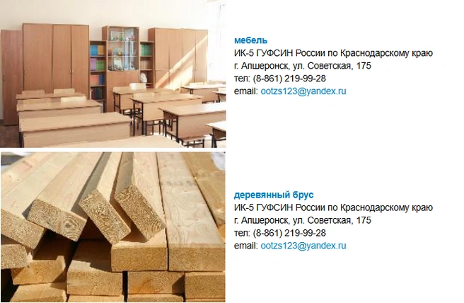 Источник: fsin.gov.ru