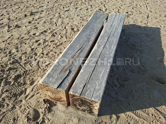 Источник: Алена Воропаева / Voronezh1.ru