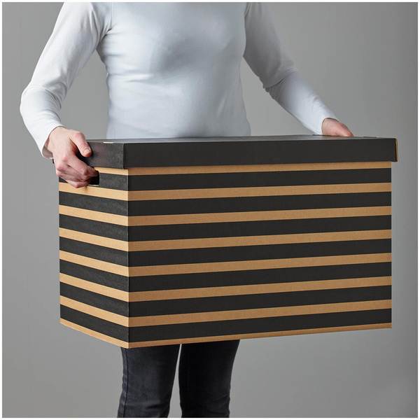 Коробка для хранения ИКЕА ПИНГЛА, 56х37х36 см, 2 шт.