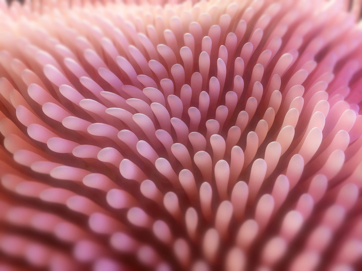 Science Photo Library - SCIEPRO / Getty Images