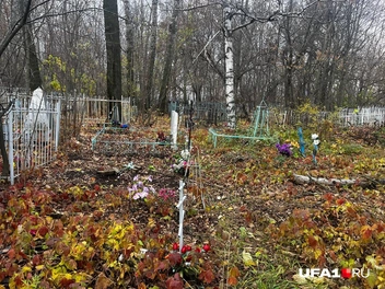 Источник: Екатерина Чижик / UFA1.RU