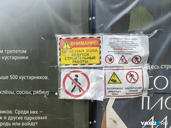Рязанцев предупреждают об опасности | Источник: Кристина Мельникова / YA62.RU