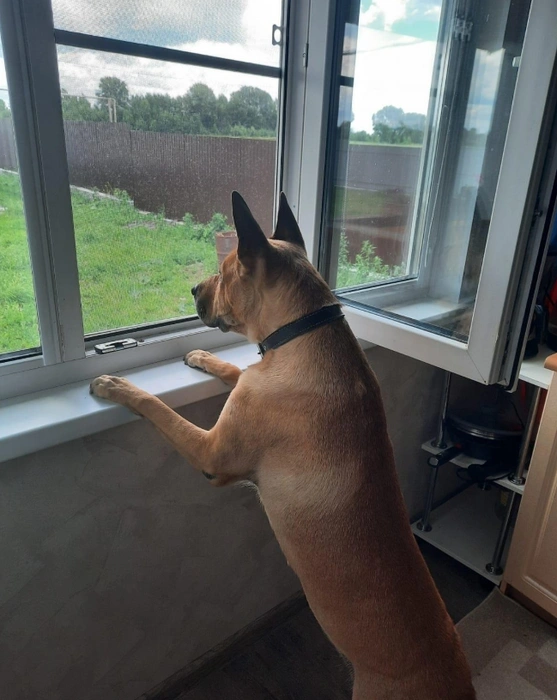 Источник: Ксения Бутенко / 2ГИС