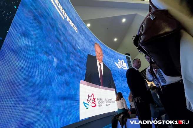 Источник: Елена Буйвол / VLADIVOSTOK1.RU
