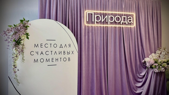 Источник: «Природа»
