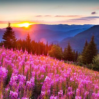 Аватарка narila1994