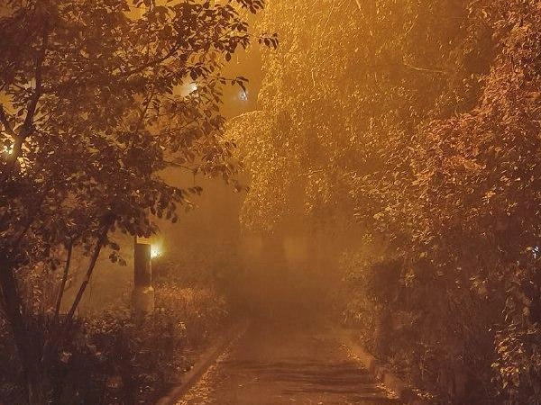 Хотели бы пройтись по этой аллее? | Источник: читатель V1.RU