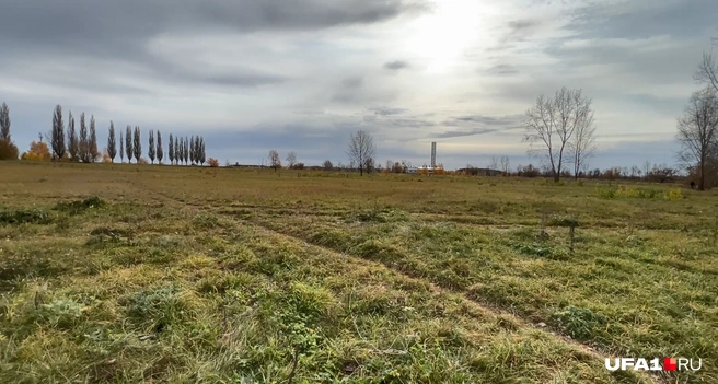 Огромное поле на краю города — в том же Нефтекамске его бы застроили | Источник: Булат Салихов / UFA1.RU