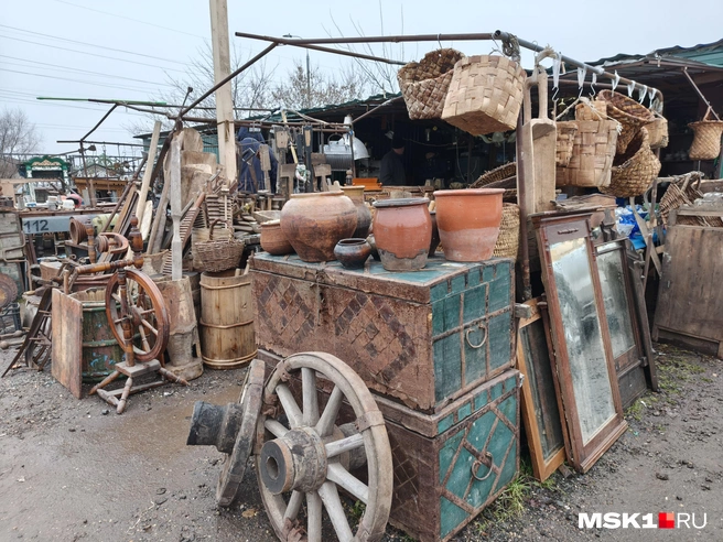 Источник: Серафима Путиева / MSK1.RU