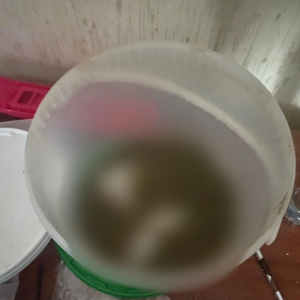 Источник: Официальный телеграмм-канал ГУ МВД России по Санкт-Петербургу и Ленинградской области