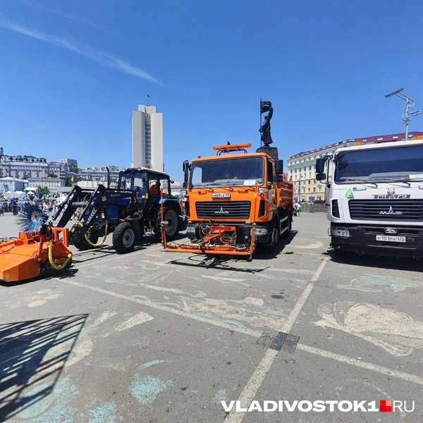 Источник: Татьяна Акишина / VLADIVOSTOK1.RU