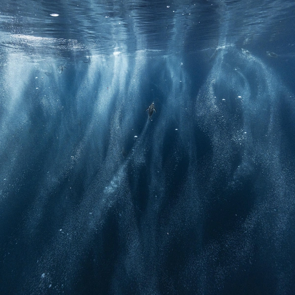 Победитель в номинации «Вода» | Источник: Scott Portelli / Oceania Photo Contest 2025