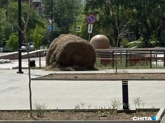 Сено заметили днем в субботу | Источник: очевидец
