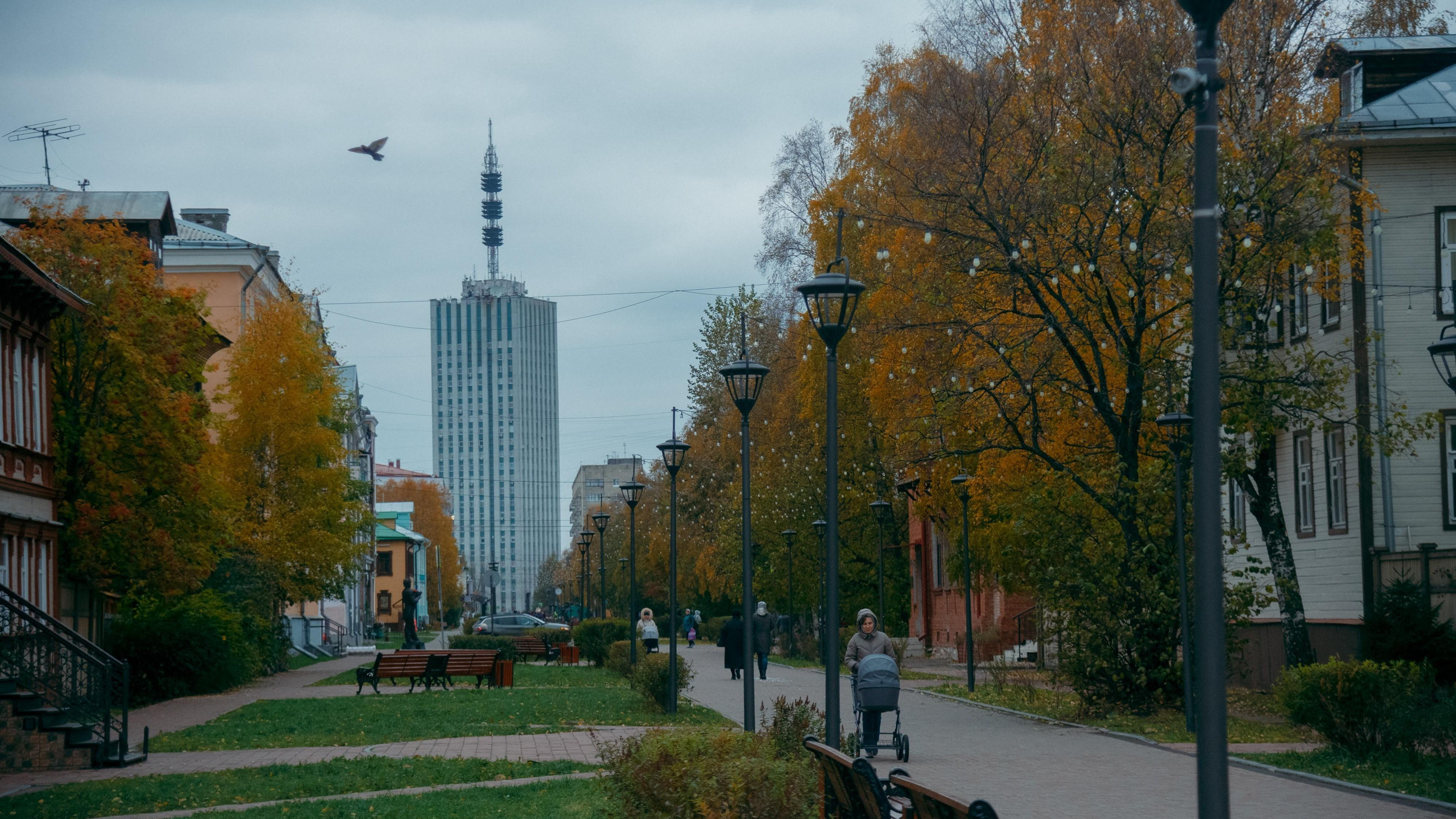 Нужен ли пожизненный запрет на продажу сигарет? Что думают архангелогородцы