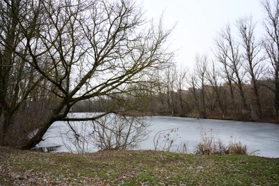 Погода в Ростове на выходные: похолодание и осадки