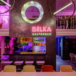 3 причины сходить в Belka Gastro Bar