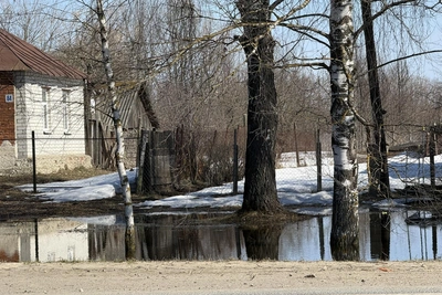 Два моста в Рязанской области вышли из-под воды