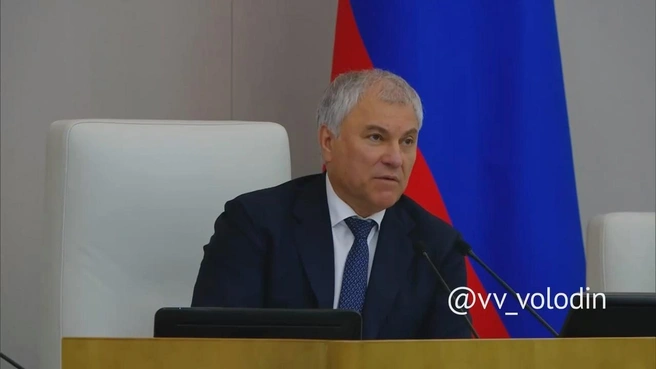 Госдума обязала УК, ТСЖ и ЖСК отчитываться перед жильцами по единой форме | Источник: Вячеслав Володин / Telegram