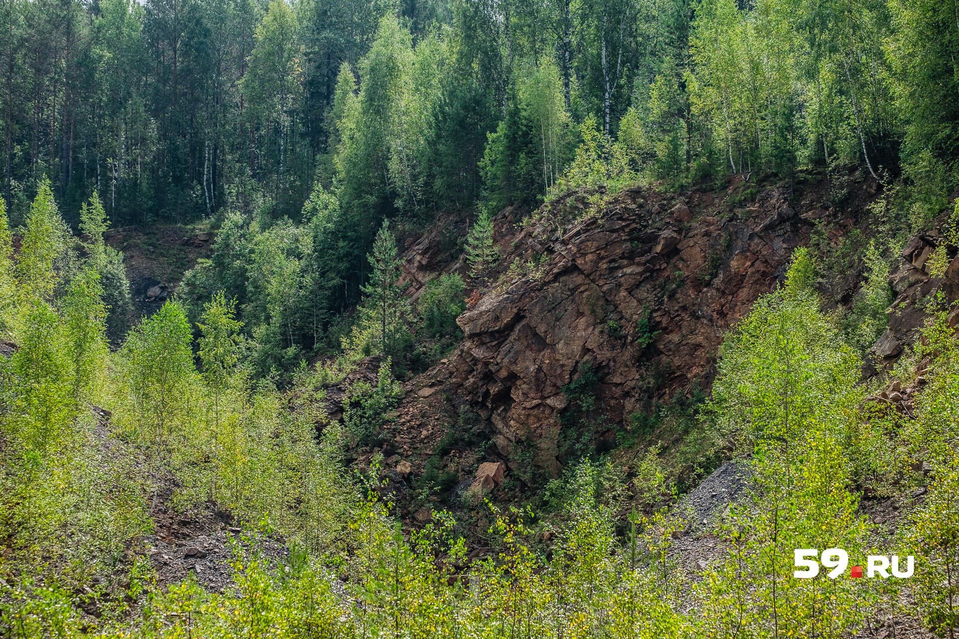 Что такое костотряс? Первоклассникам подарили книгу по истории Прикамья. Мы  составили по ней тест - 5 сентября 2018 - 59.ру