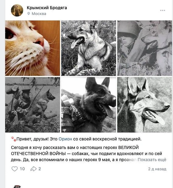 Источник: ВКонтакте