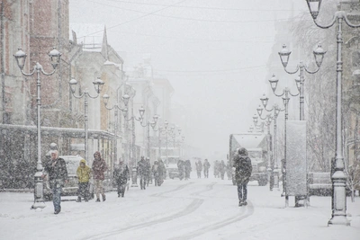 Бывшую сотрудницу Росреестра осудили за взятку от миллионера