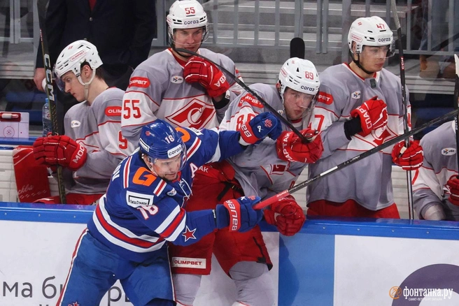 Источник: Сергей Михайличенко / «Фонтанка.ру»