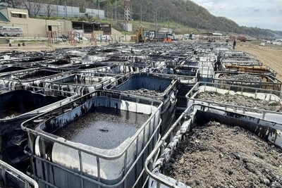 Контейнеры с замазученной галькой на пляжах Туапсе