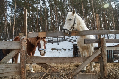 Саввин день: почему 18 декабря нельзя работать
