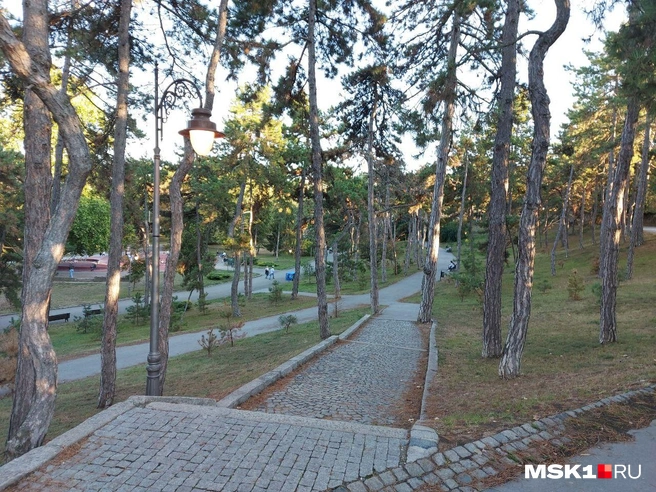 В парке приятно гулять летом, и он реально большой, что не так часто встречается на Балканах | Источник: Анна Голубницкая / MSK1.RU