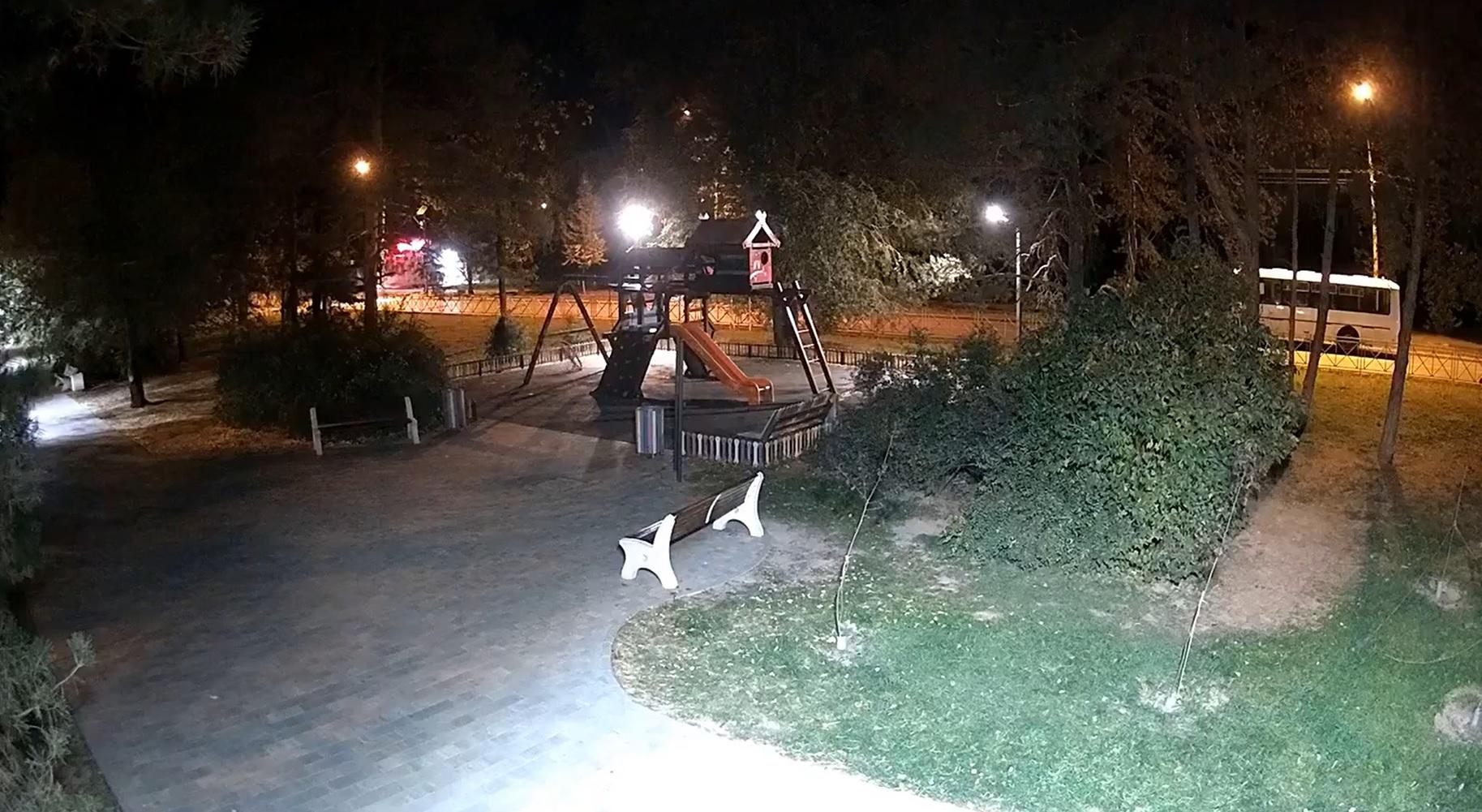 Под Волгоградом женщина, укравшая детские качели в парке, подбросила их обратно