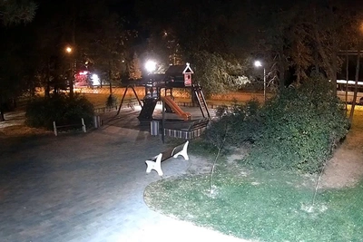 Под Волгоградом воровка подбросила детские качели