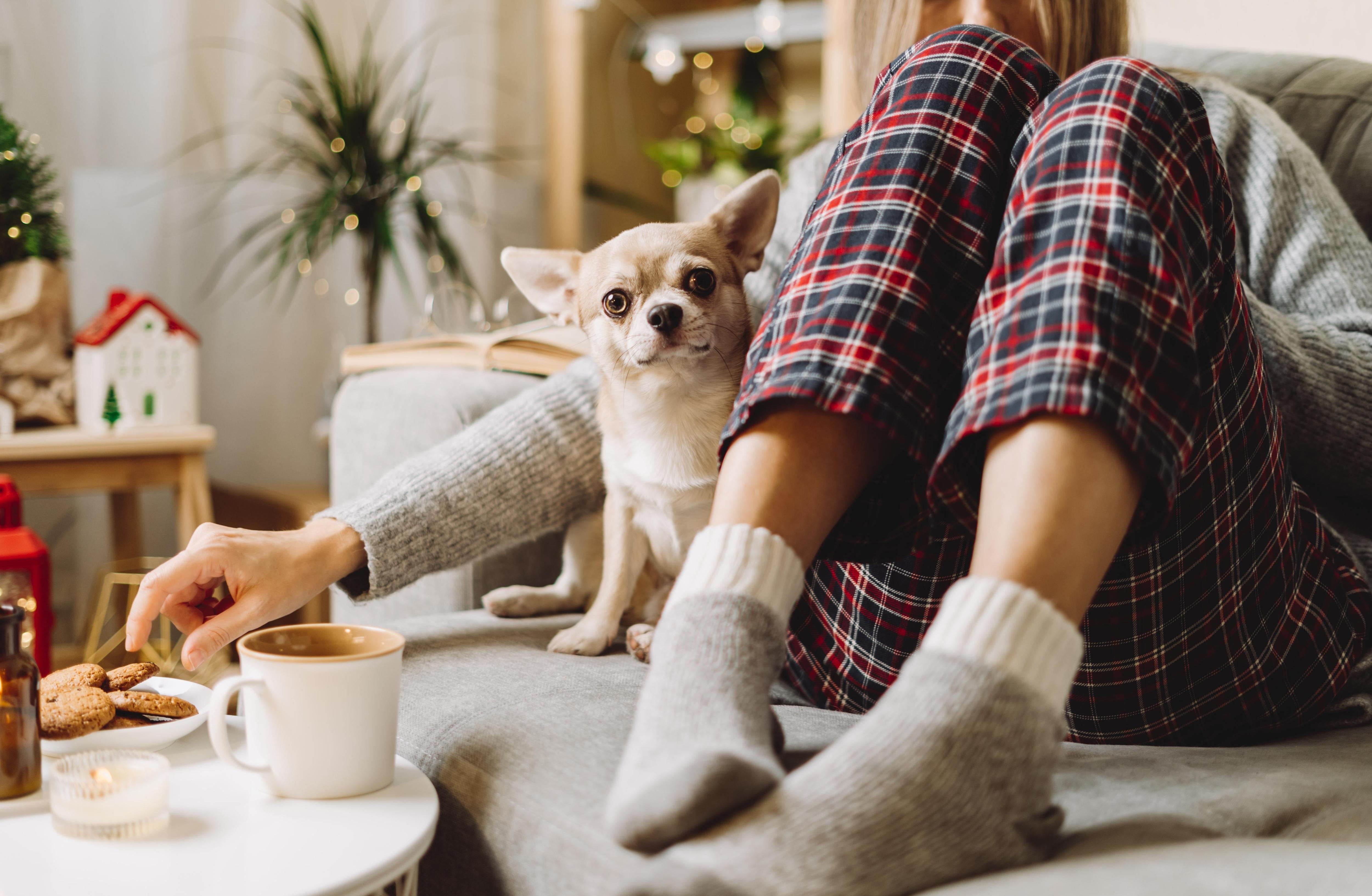 Львов окунутся в творчество, Овны  в новые проекты: гороскоп на неделю с 26 января по 1 февраля для всех знаков зодиака