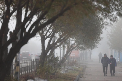 Weekly Digest: Surgut Crash, Skin Health, Mayor's Wardrobe