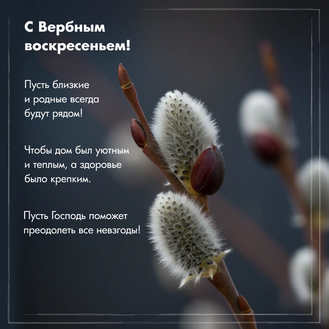 Источник: Городские медиа