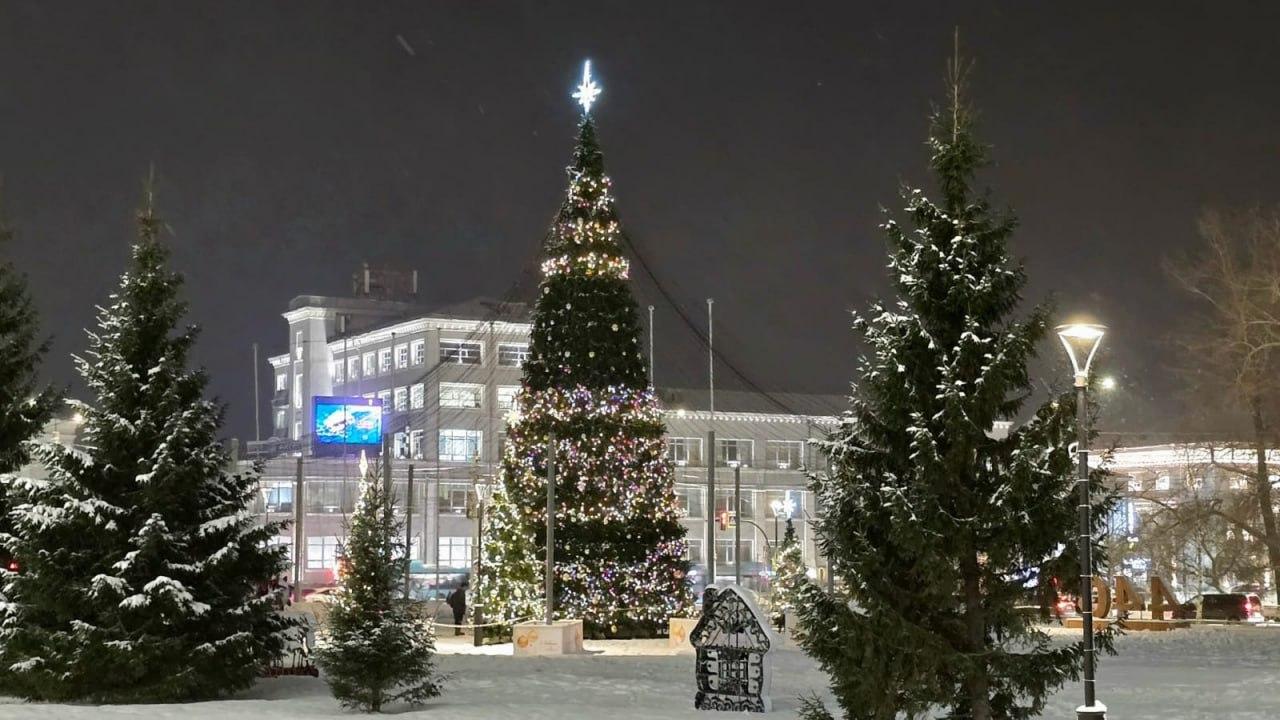 В Архангельске повредили главную городскую елку: полиция нашла вандала 