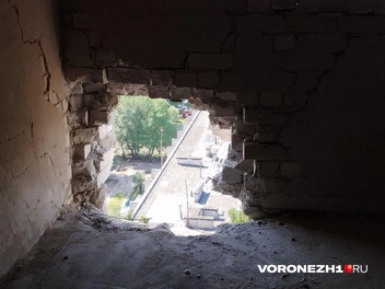 Источник: Дмитрий Волгин / Voronezh1.ru